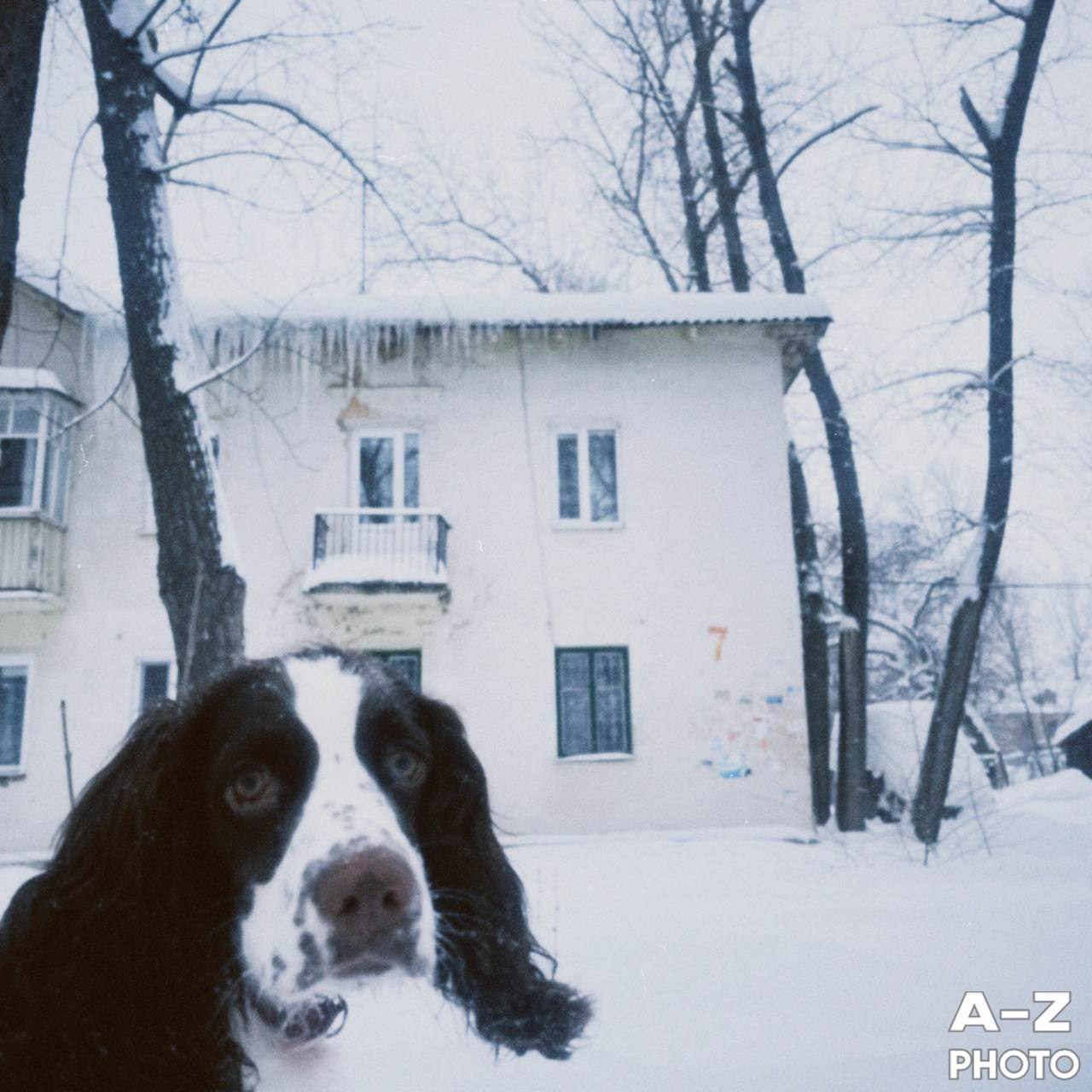 #ФОТОНЕДЕЛИ 02.02.2026. Женский семейный фотограф Тула Москва Захарова Анна