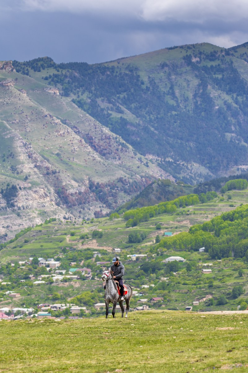 Язык Тролля. Photomantis