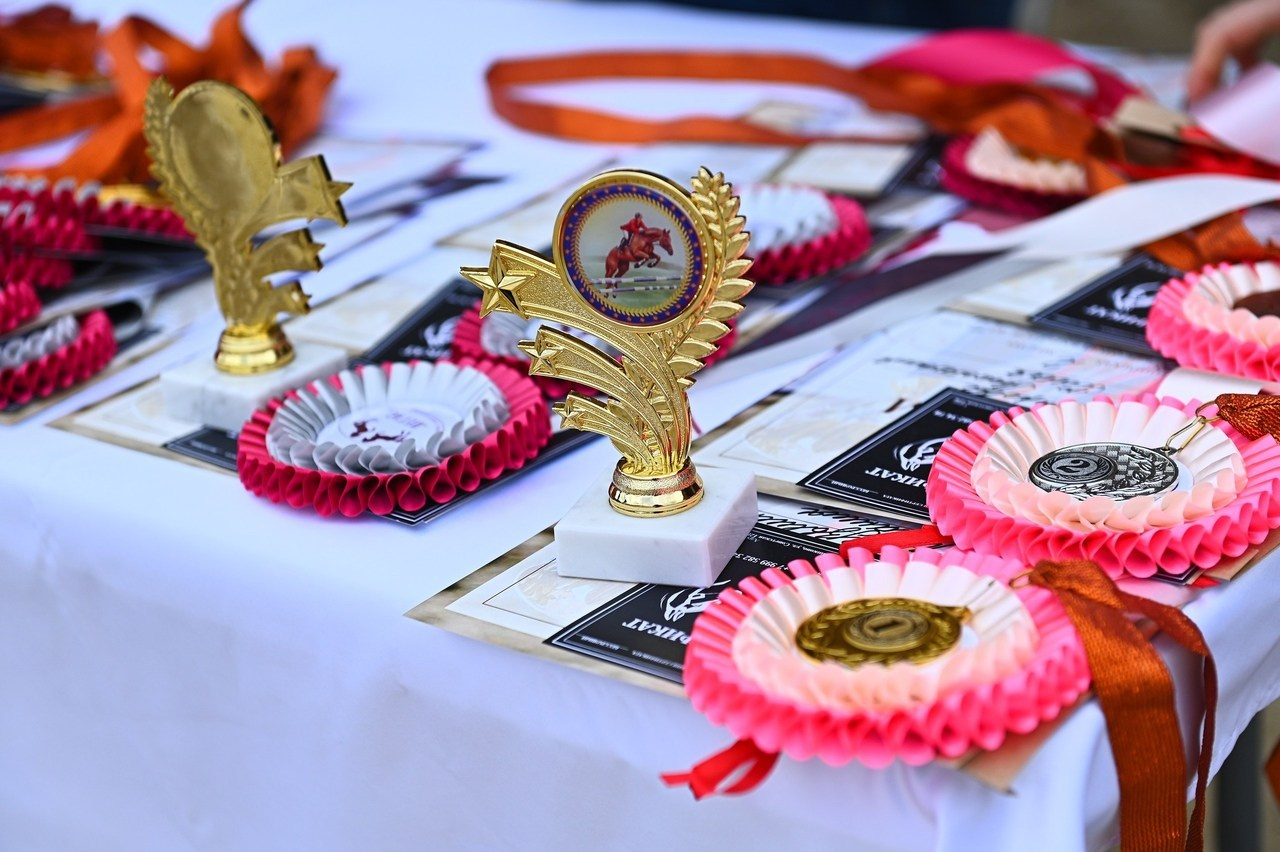 Отзывы. ТУРНИРНАЯ КОННАЯ ФОТОГРАФИЯ, Руднева Ольга и Евгений Адеев