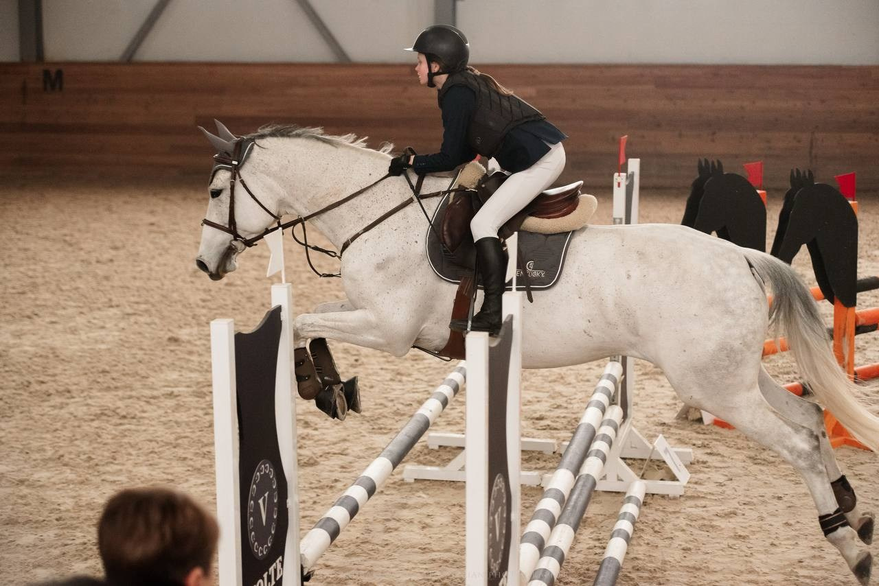 ВЕСЕННИЙ КУБОК МКК «ВОЛЬТ» ПО КОНКУРУ. Конный фотограф Куракина Дарья • Фотосессии с лошадьми