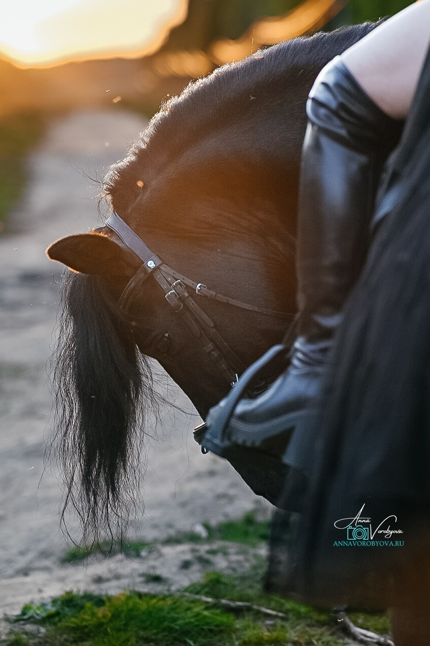 Чёрное золото. LifeStyle фотограф Анна Воробьёва Санкт-Петербург