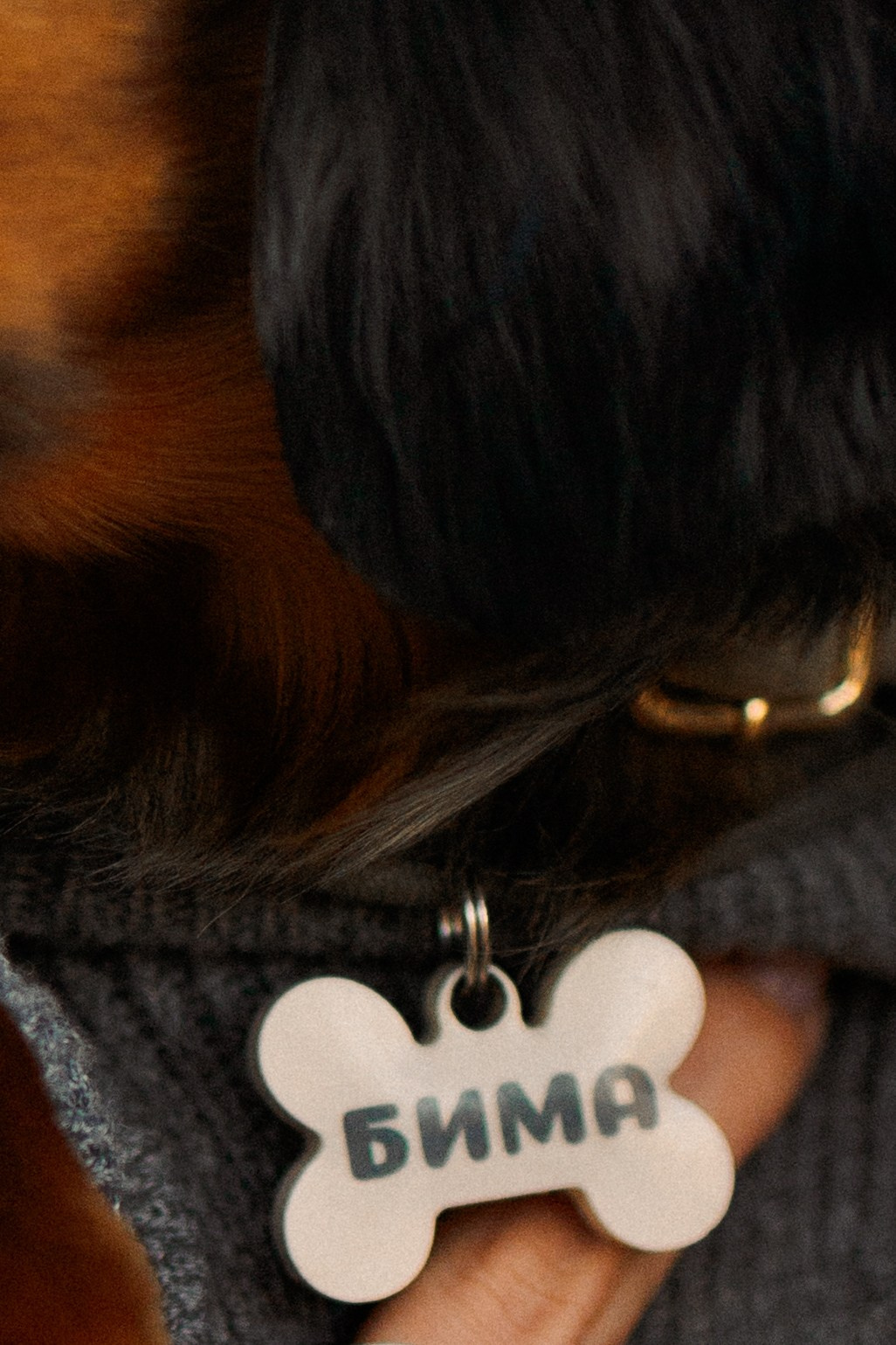 Одна прогулка из жизни Бимы. Семейный фотограф Питер •love-story•|Санкт-Петербург