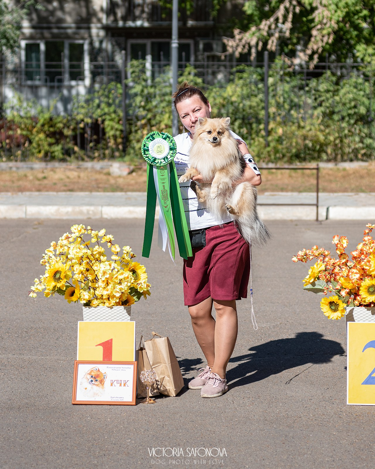 15 сентября 2024. Благовещенск. Монопородная выставка шпицев. Фотограф анималист Благовещенск. Сафонова Виктория