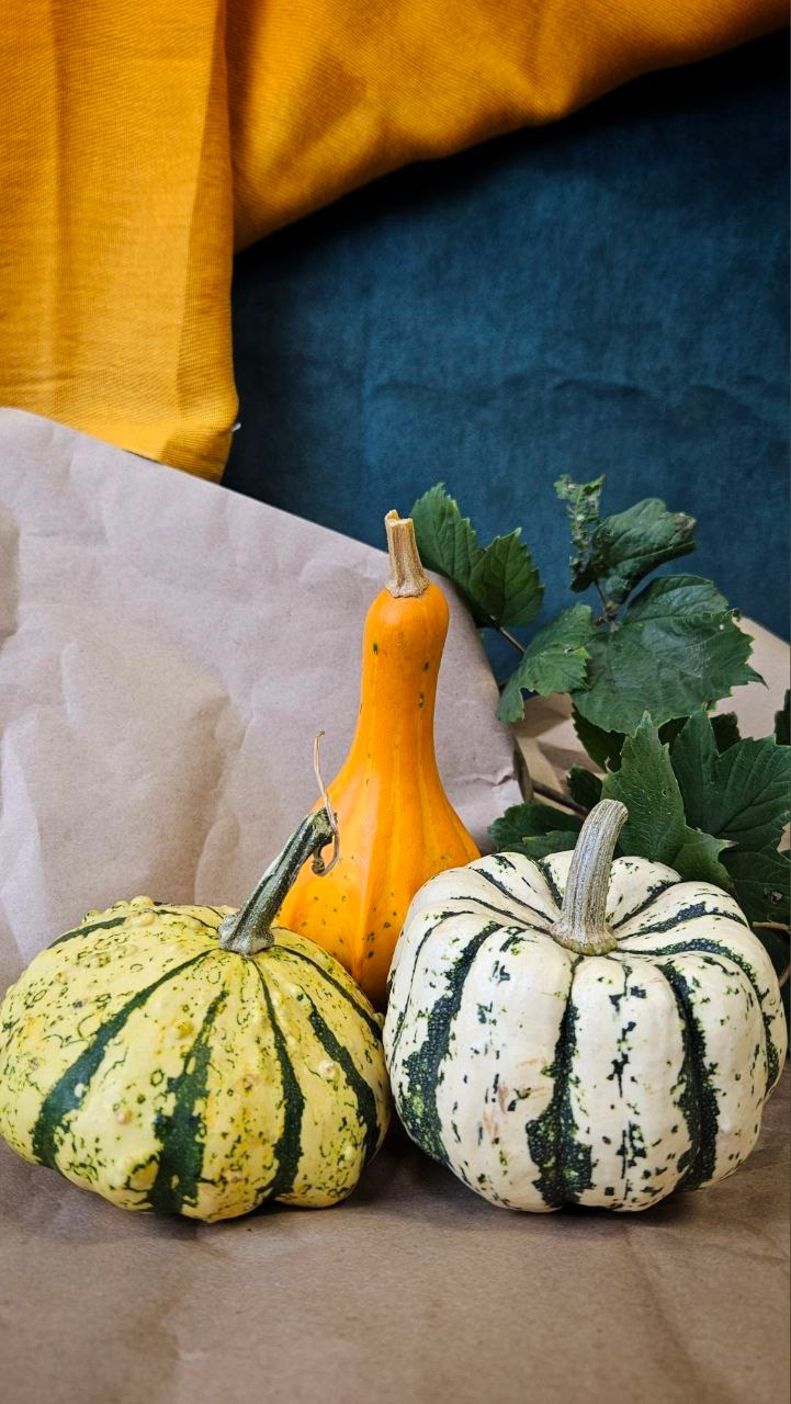 Уроки по живописи масляными красками. Изостудия «Мы рисуем!» ♥ Южное Бутово, Москва