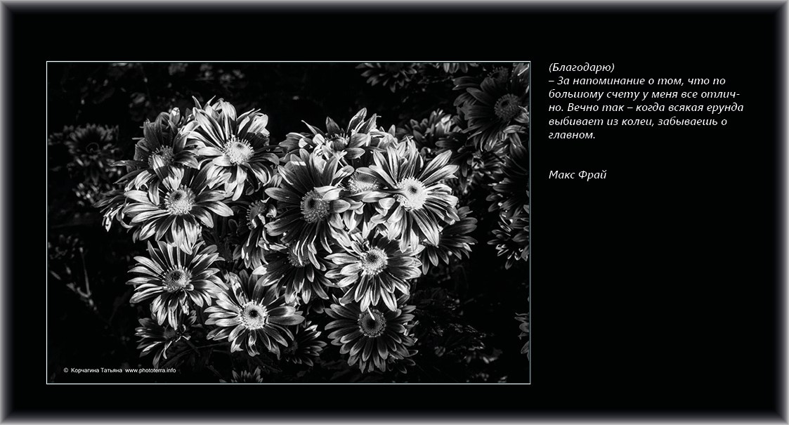 Совет дня — ориентир. Татьяна Корчагина. Фотограф, художник. Обучение фотографии