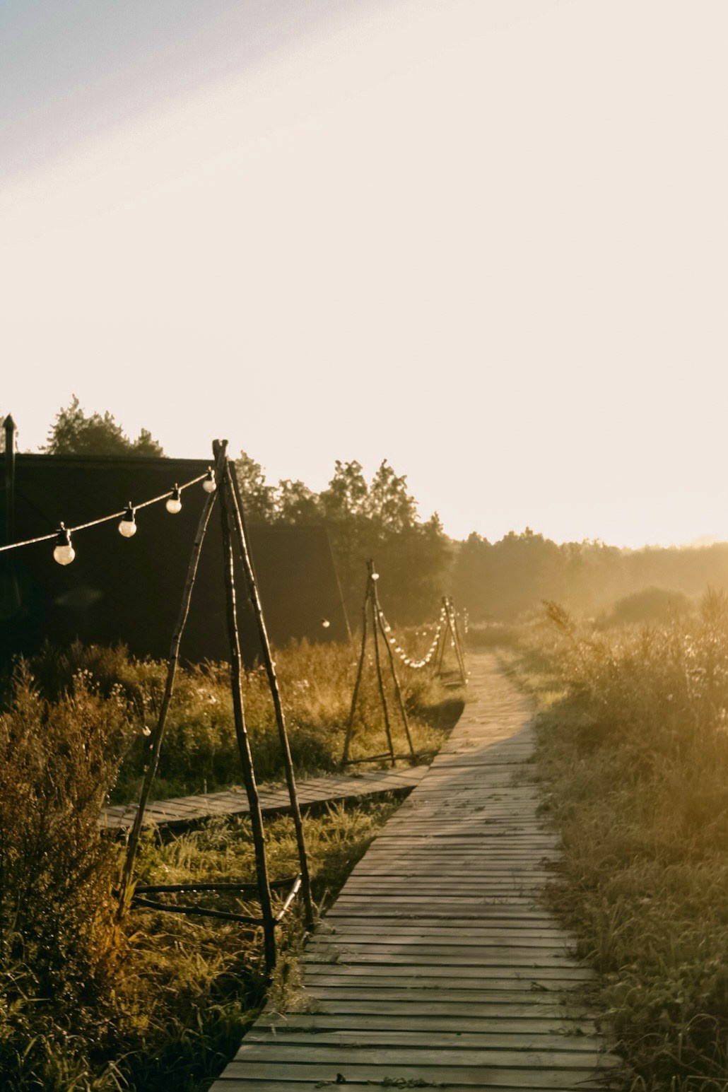 Контент-съемка. Портретный и fashion-фотограф в Санкт-Петербурге Олеся Поле