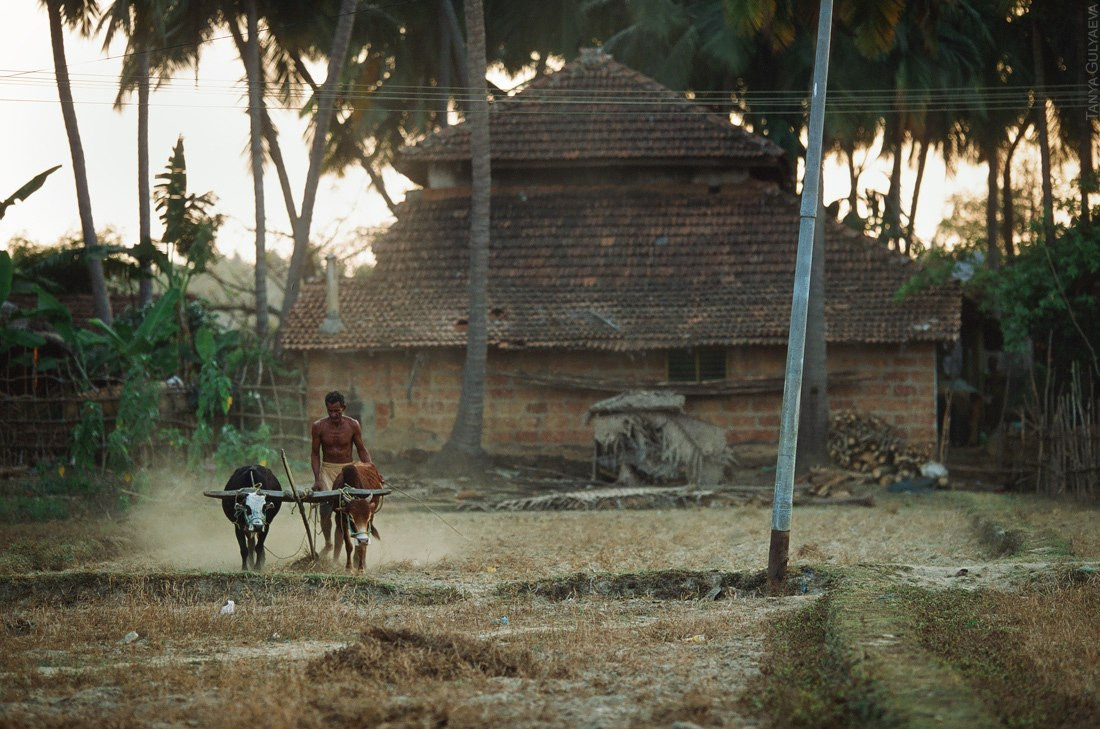 Индия. Фотограф в Петербурге Татьяна Гуляева
