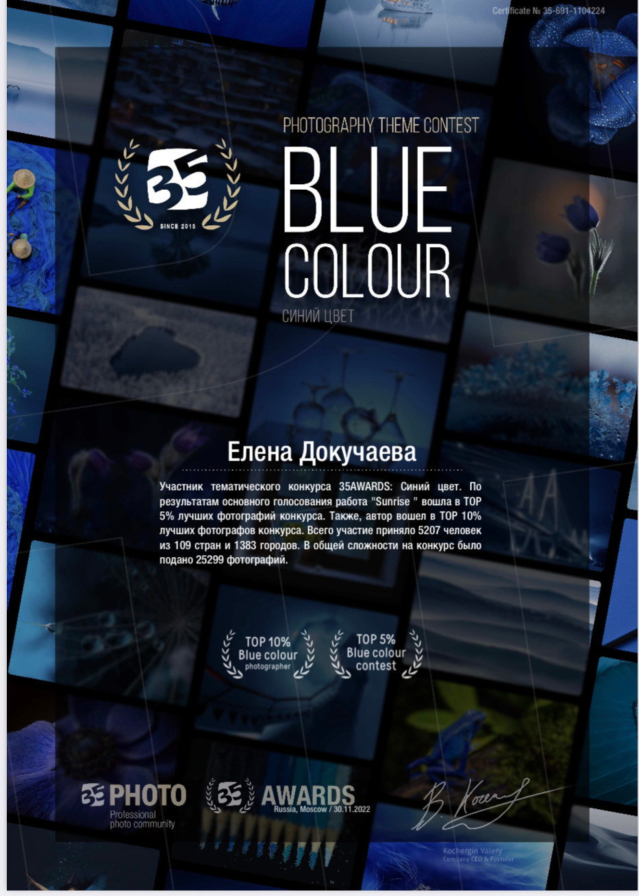 ВЫСТАВКИ, МЕЖДУНАРОДНЫЕ ФОТОКОНКУРСЫ. Фотосессии в Москве и Калининграде