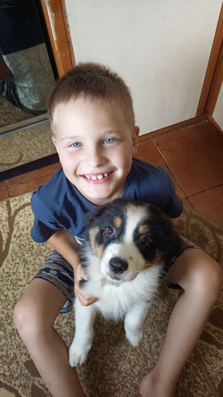 Рыся. BLGKV питомник собак