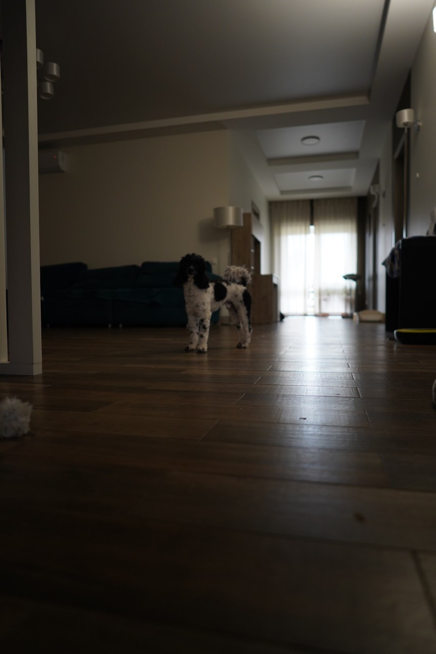 Одноэтажный дом в Энгельсе. Das House