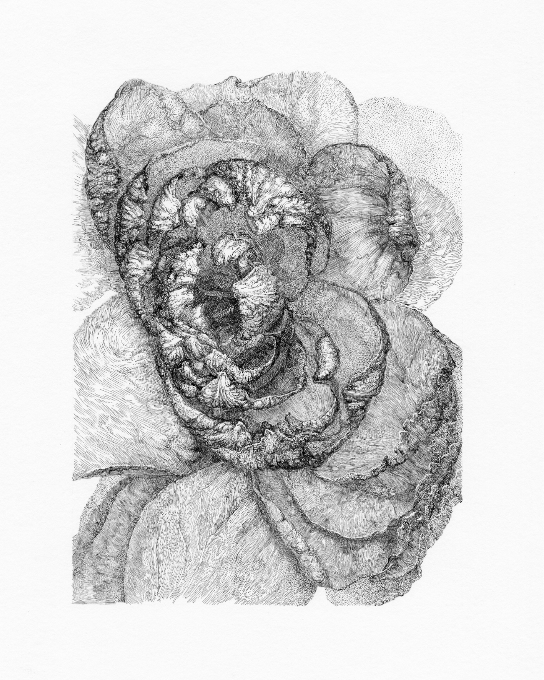 After Bouquet. Rose. 6. Nadezhda Polomoshnova, fine artist in Charleston