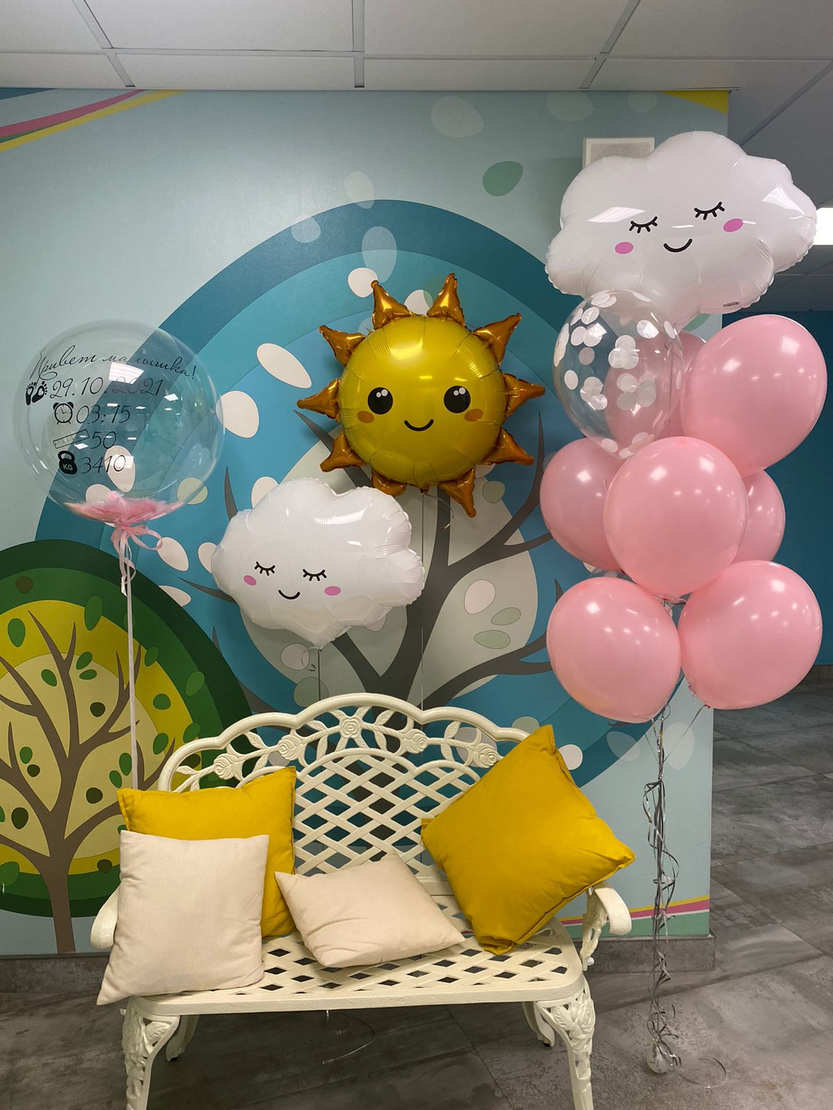 Фотограф в роддоме Сестрорецком г. Санкт-Петербург Банасиковская Ксения