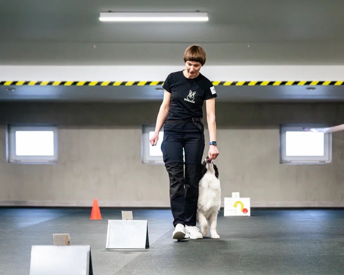 Карныш. BLGKV питомник собак