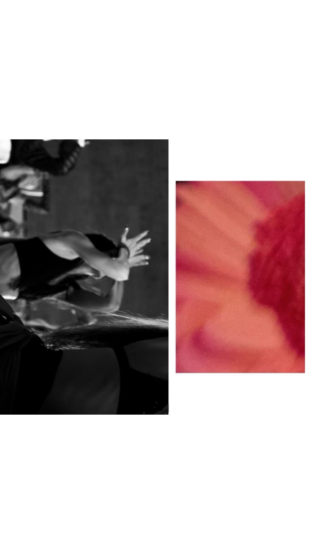 Reportage. Репортажный и творческий фотограф в Москве Смольякова Анна