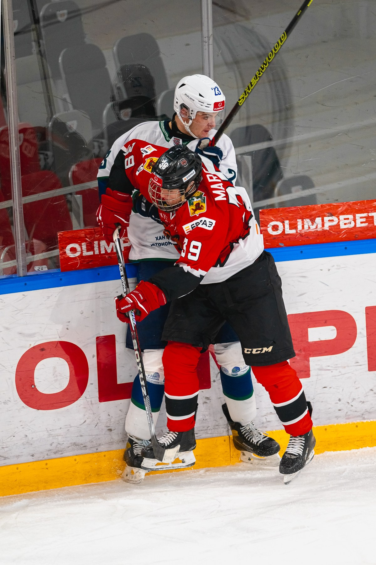 Медведи-Мамонты Югры. ProfotoNK