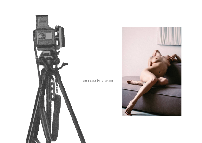 See into the trees — zine. Pictorial dream — fine art fil photography by Yaroslav Pavlov