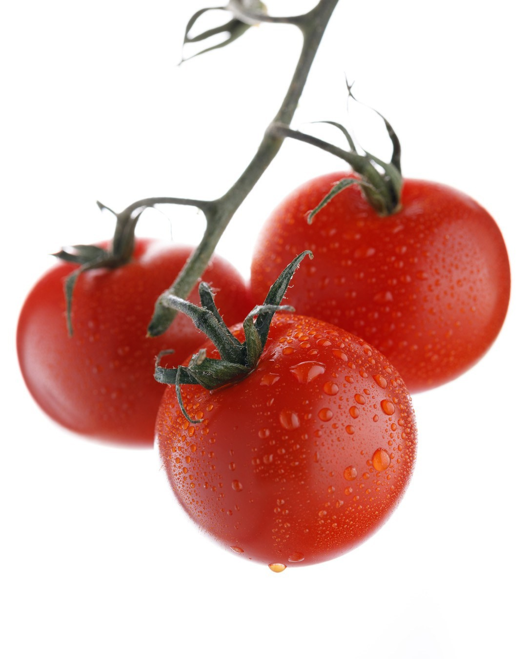 Сергей Рощин. Коммерческий фотограф в Москве и МО