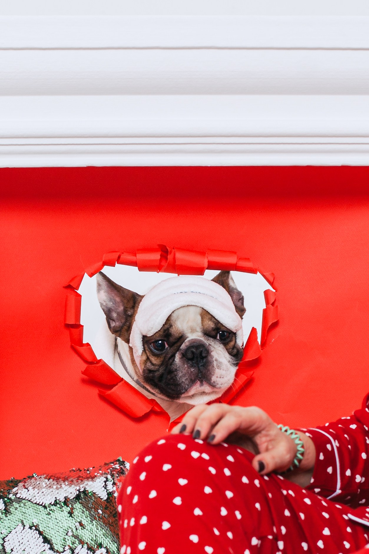 Пижамная вечеринка французских бульдогов и их хозяев. Фотограф-анималист Татьяна Степанова