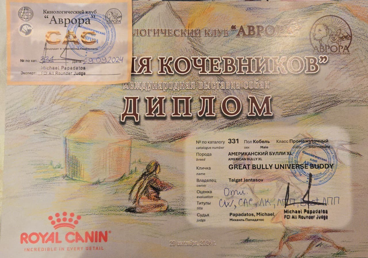 Buy an American Bully XL puppy	in Tallinn, American bully puppy	in Tallinn, American bully to buy a puppy	in Tallinn, Buy an American Bully XL puppy	in Tallinn, Buy an American Bully puppy	in Tallinn, buy an American Bully puppy	in Tallinn, buy ambuli	in Tallinn, American Bully XL Puppy sale	in Tallinn, sale of American Bully XL puppies	in Tallinn, The official American Bully XL Nursery	in Tallinn, 