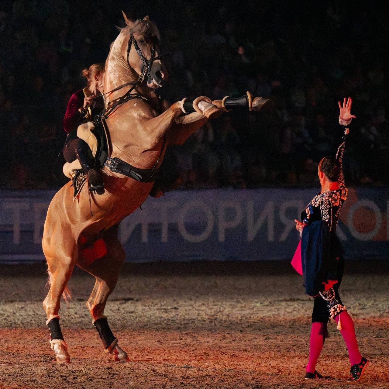 Иваново Поле — 2025. Куракина Дарья • Конный фотограф