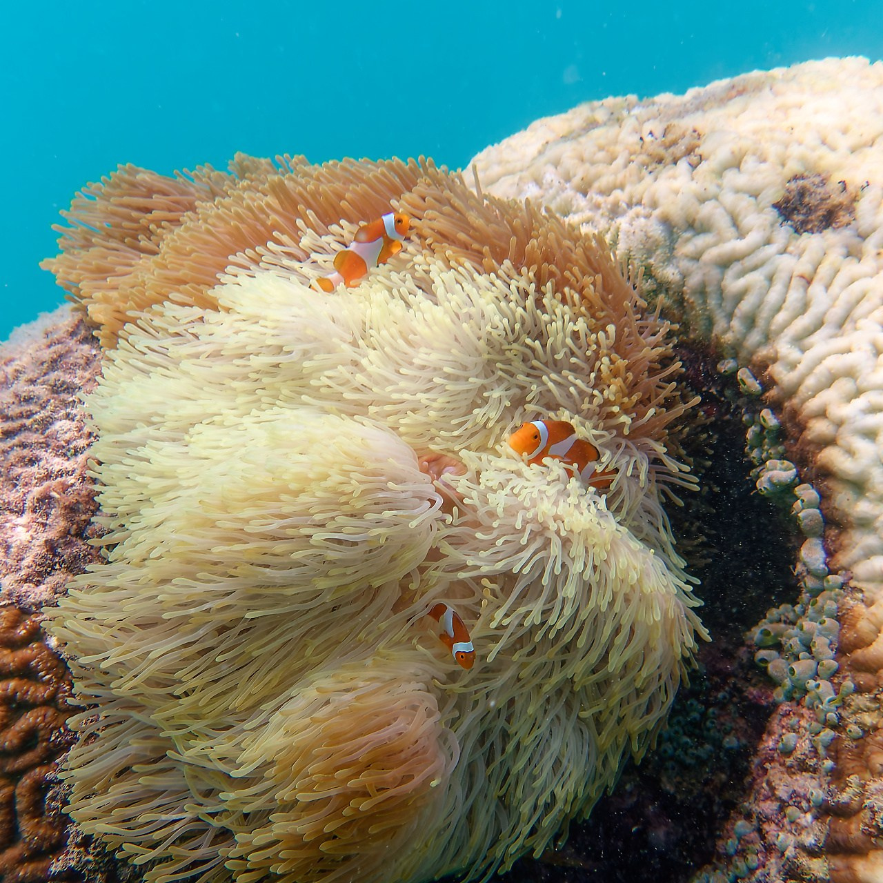 Мне посмотреть. Рыбов показываю