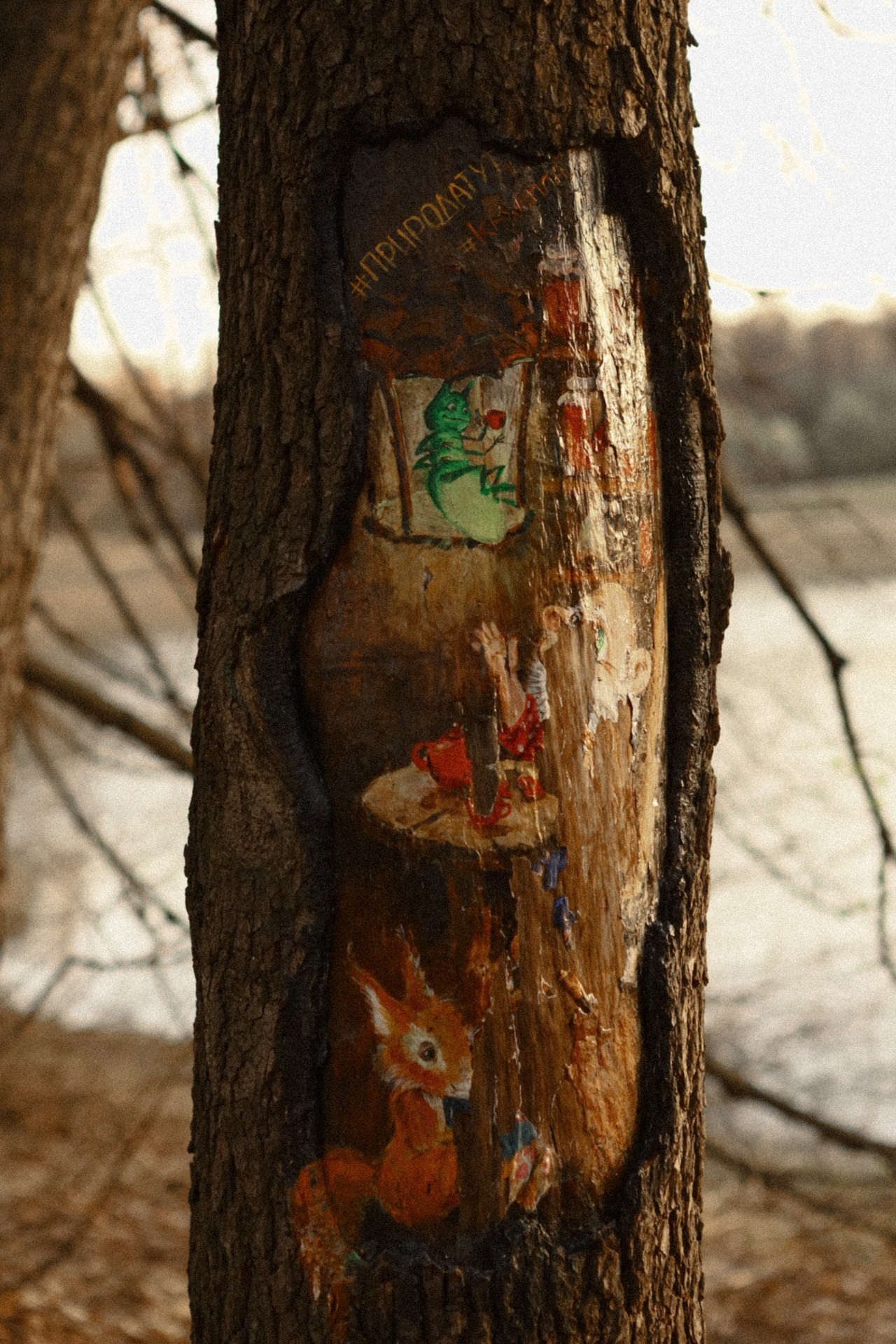 Природатут. Фотограф Владимир Молоканов