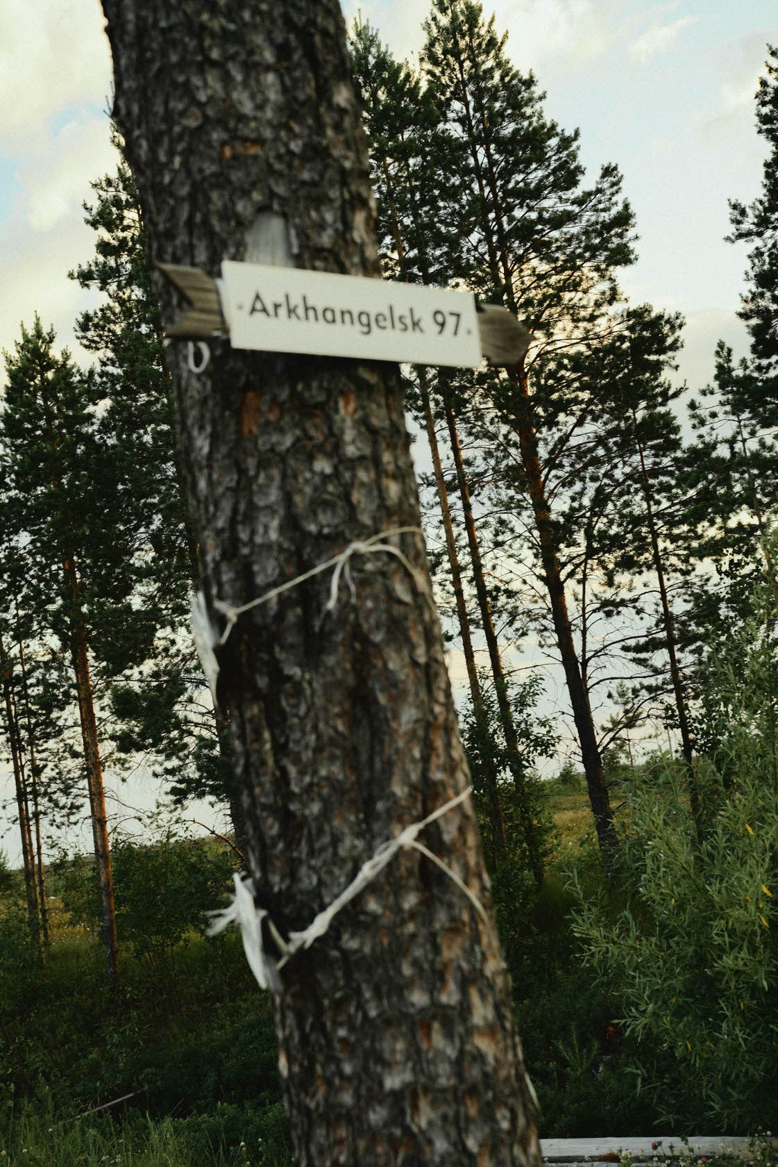 Репортаж мероприятия / Соль земли. Съемки