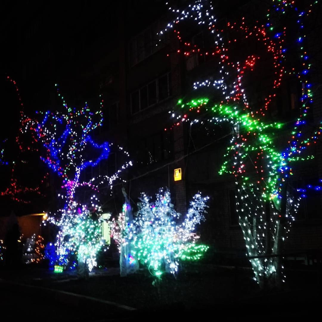 Bashnin instagramm. Заставка