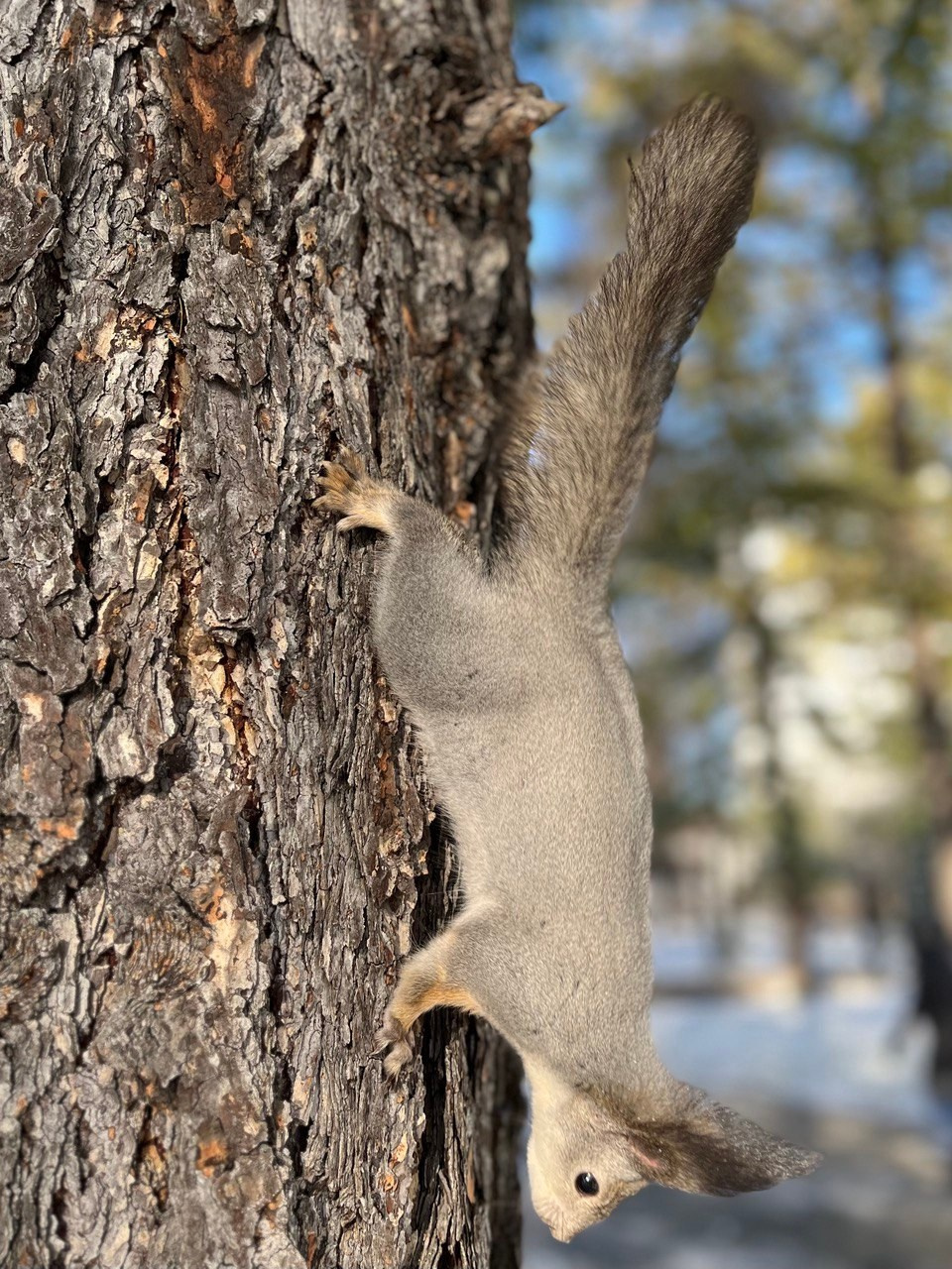 В природе. Портретный фотограф в Челябинске Катерина Руди