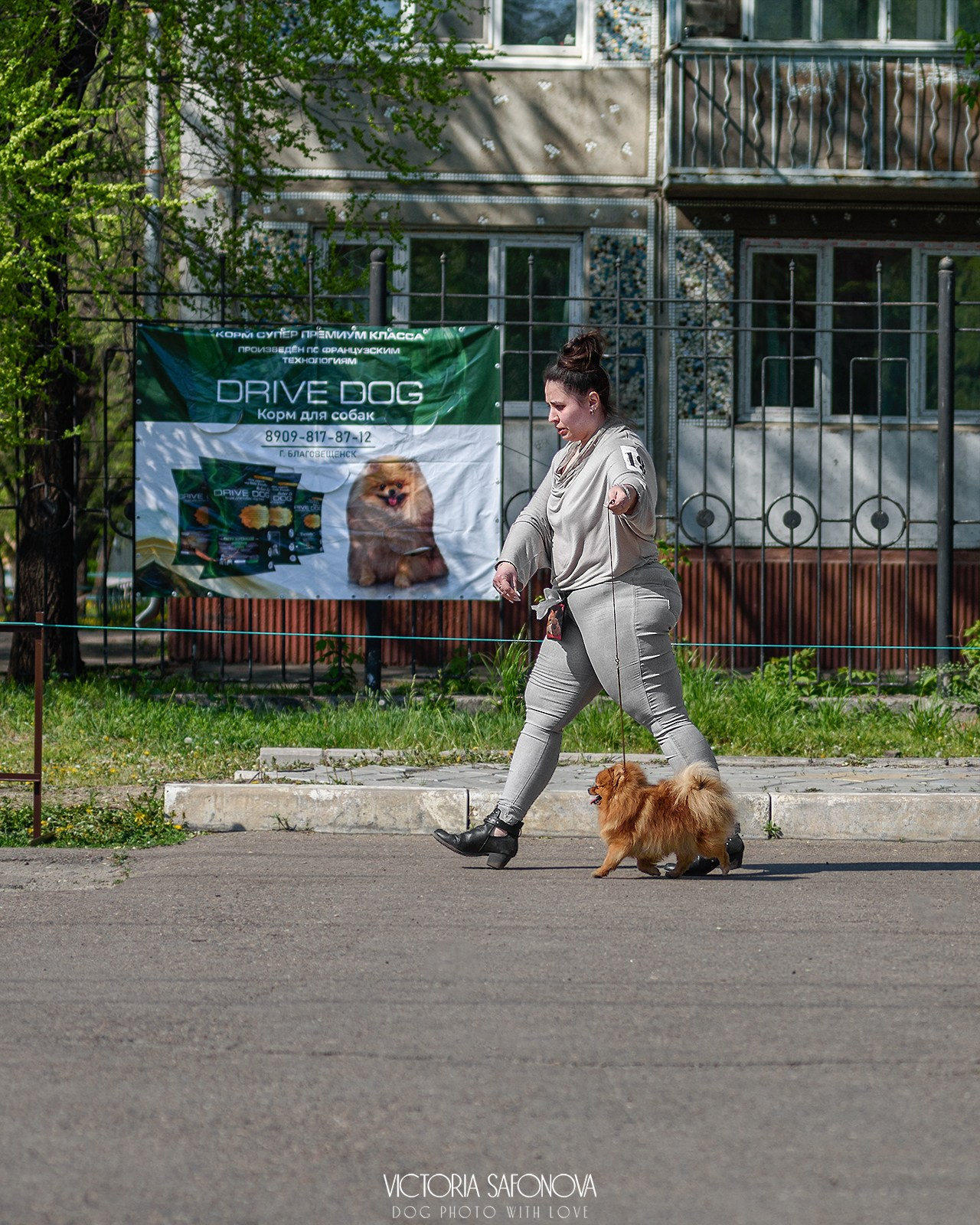18–19 мая 2024 Благовещенск. Фотограф анималист Благовещенск. Сафонова Виктория