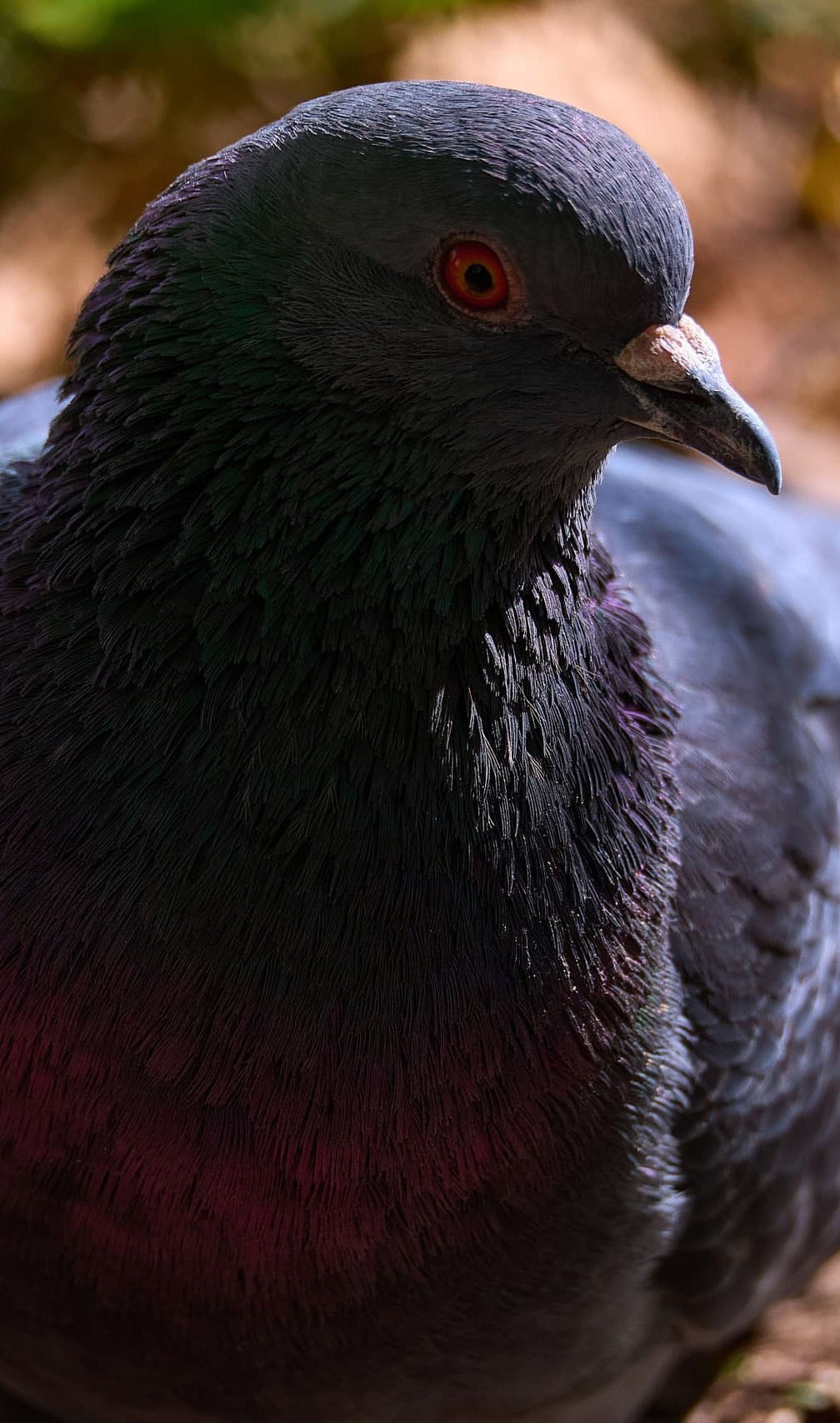 Международная онлайн-фотошкола Сергея Рожнова