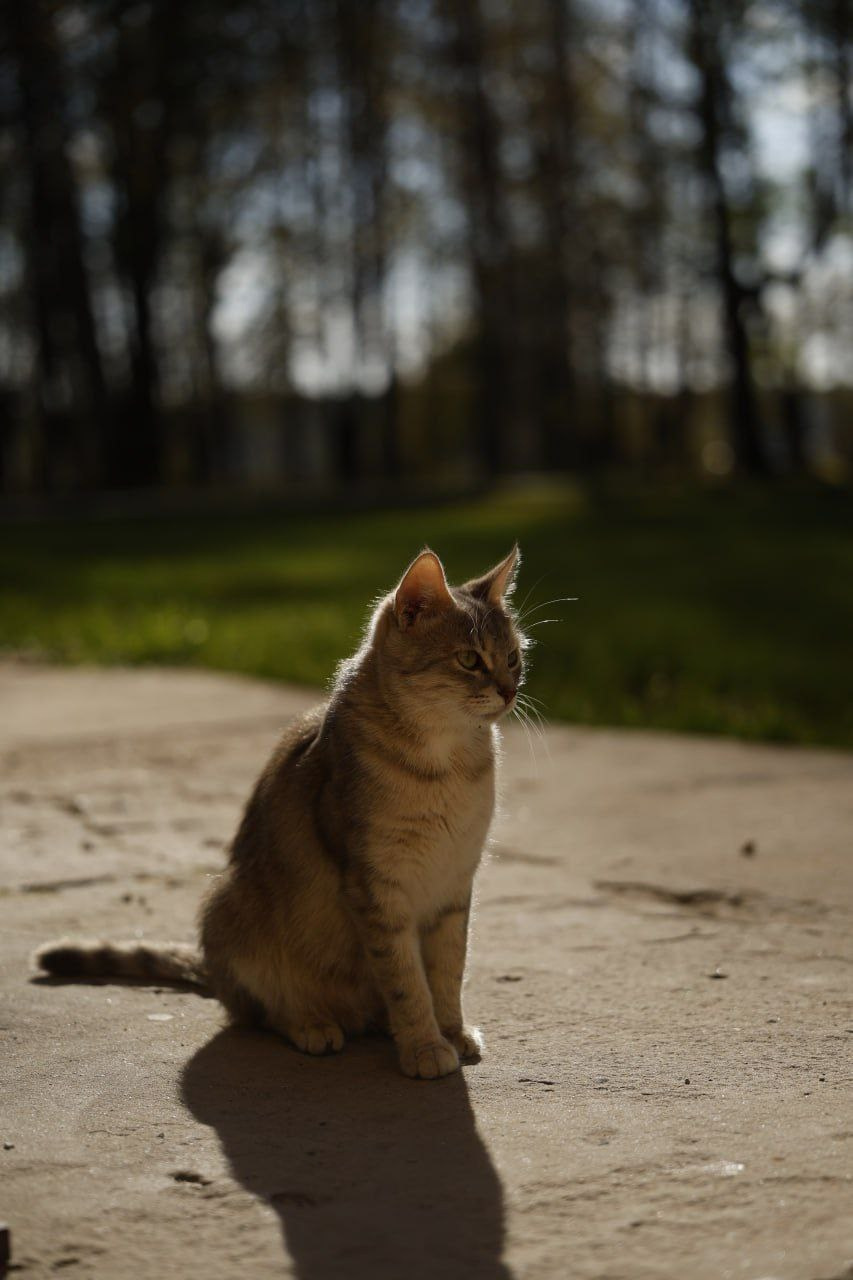 Свадебный и репортажный Фотограф Тверь. Аэросъёмка в Твери и области. Constantine Kostin