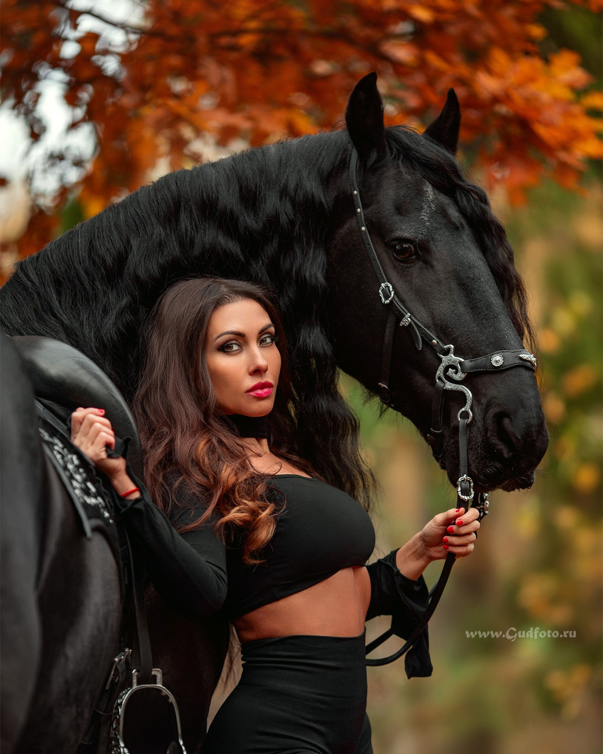 фотограф слошадьми, фотосессия с конем, фотосессия с лошадьми в москве, кони, конный фотограф, лошади, лошади и девушки, фриз, фризский конь, фотосессия с трюковым конем