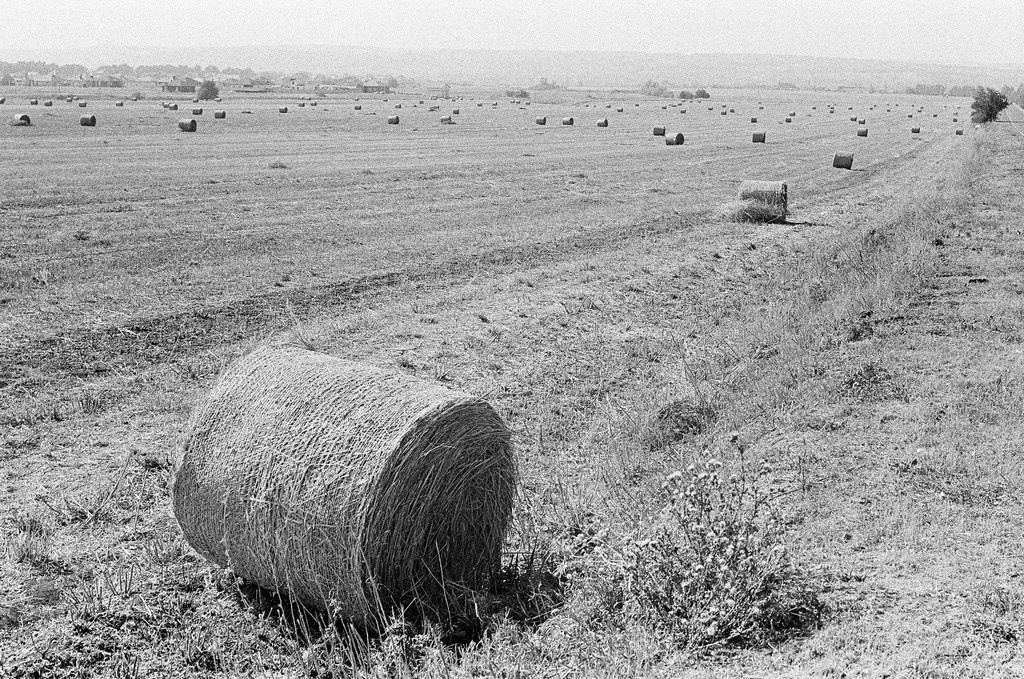 Welcome. Фото Стремского