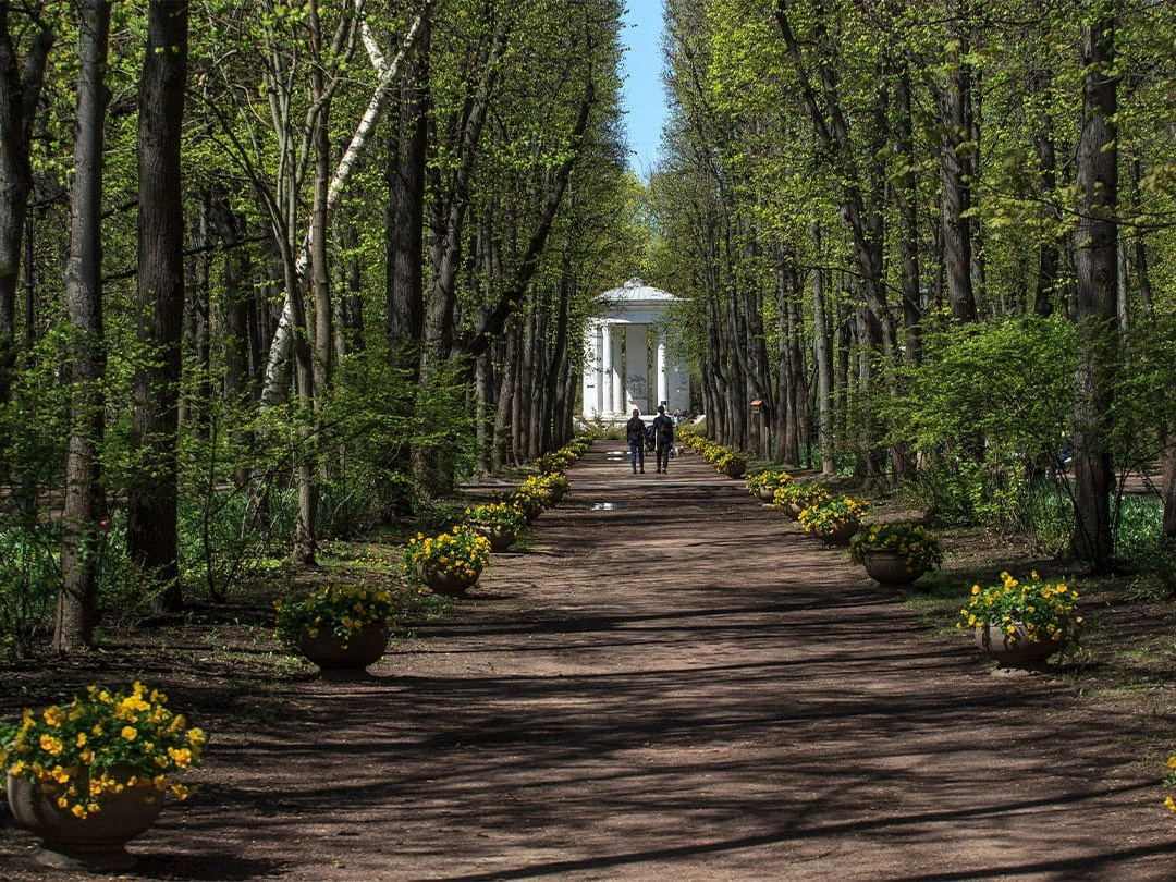 Москва. Нескучный сад. Фотограф для маркетплейсов Михаил Бове