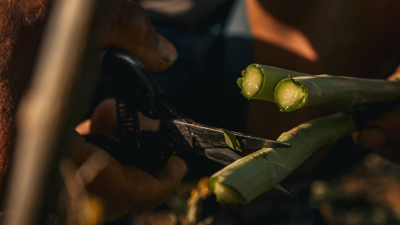 Документалистика. Фотохудожник в Санкт-Петербурге Вурал Мелиса