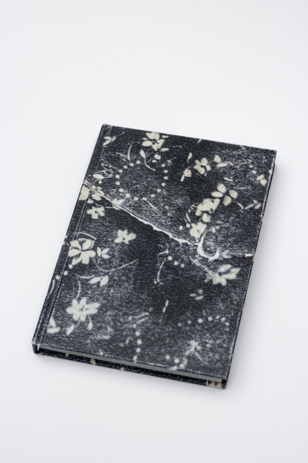 How Sasha Litvinov buried the gun — Book. Kristina Sergeeva