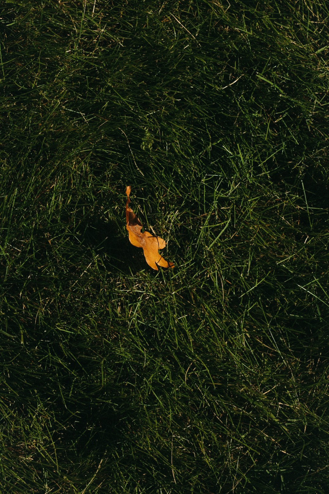 Владимир и Наталья. Фотограф Нижний Новгород