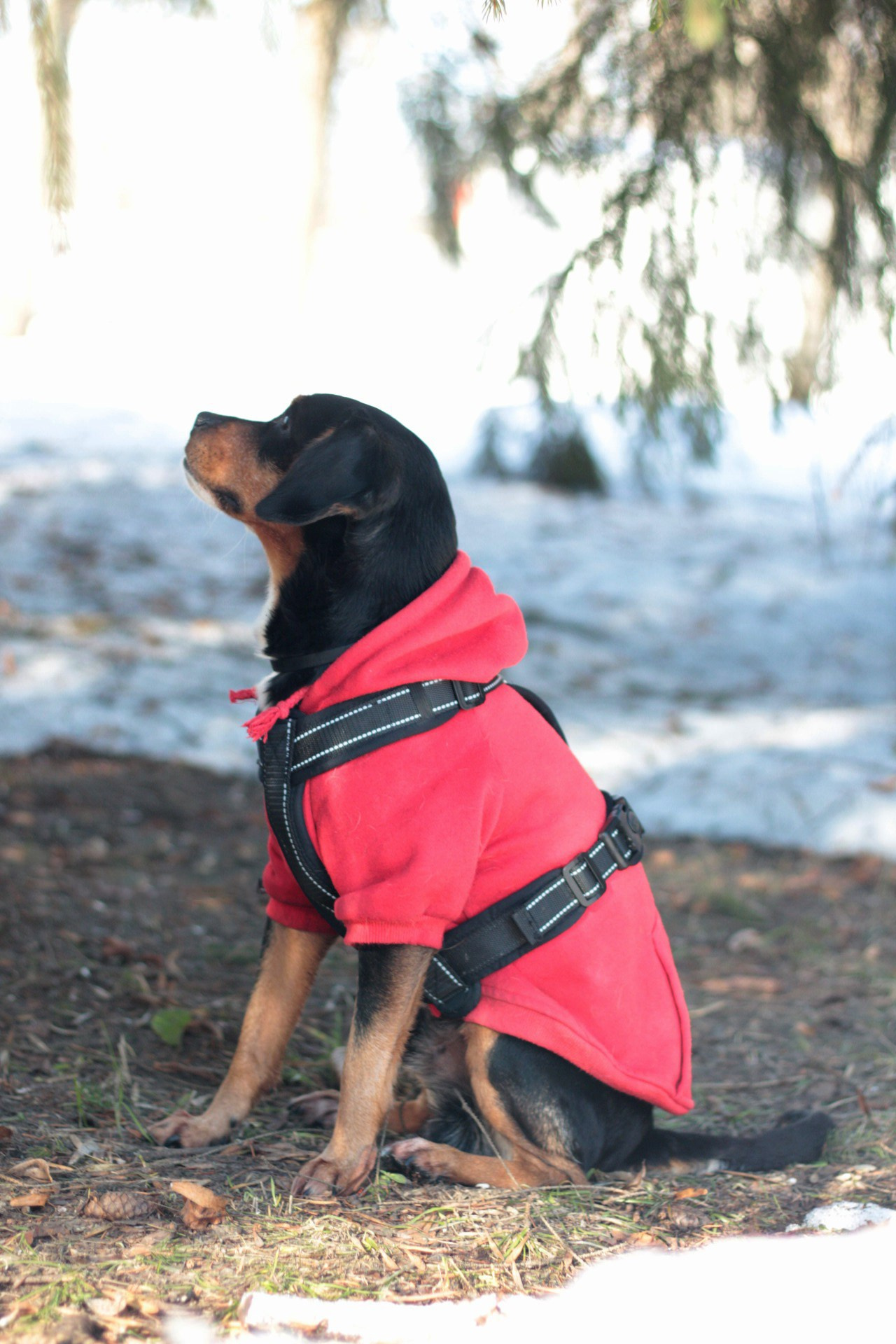 Маша и Кекс. Катя Попова|ЛайфСтайл фотограф