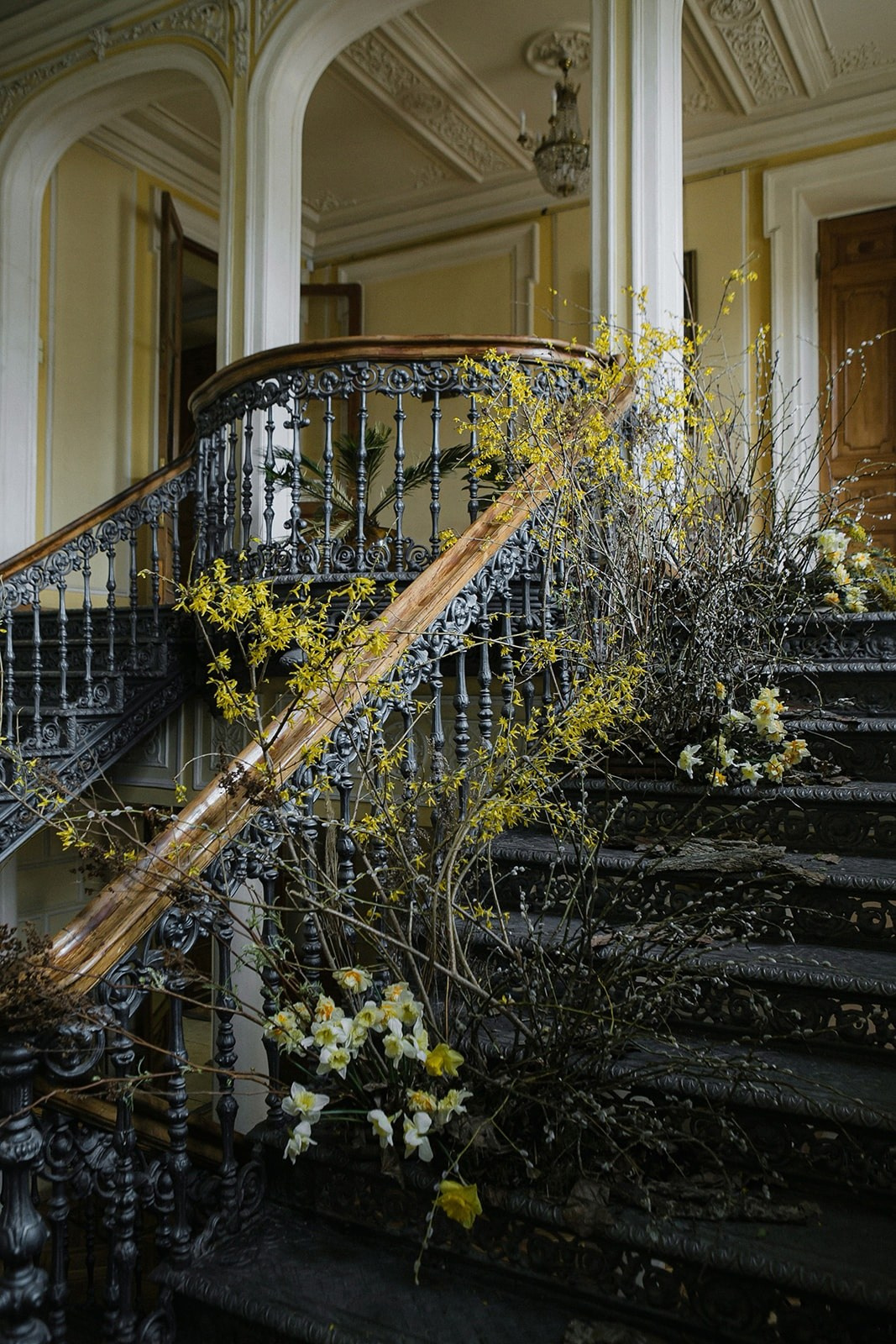 Библиотека им. Пушкина. Оформление свадеб, декор свадеб Вера Маркова, Москва