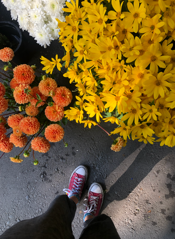 Тбилиси❤️🇬🇪. Anita_photo