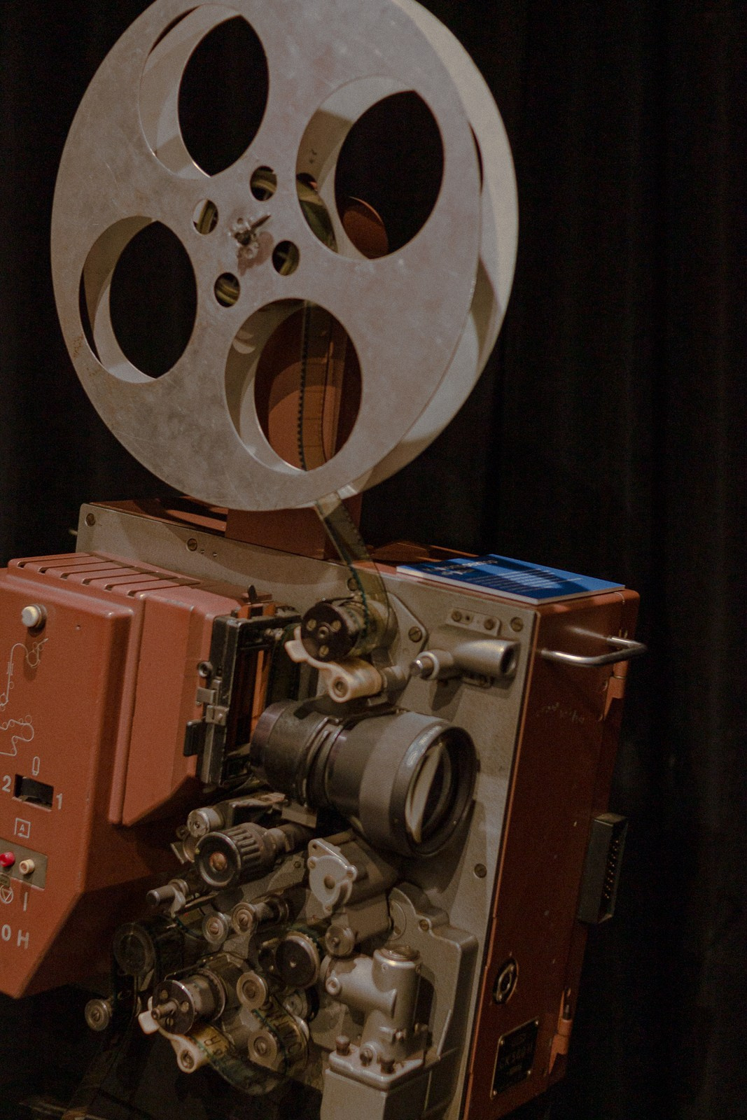 Алиса. Борщевская Елизавета / фотограф Иркутск