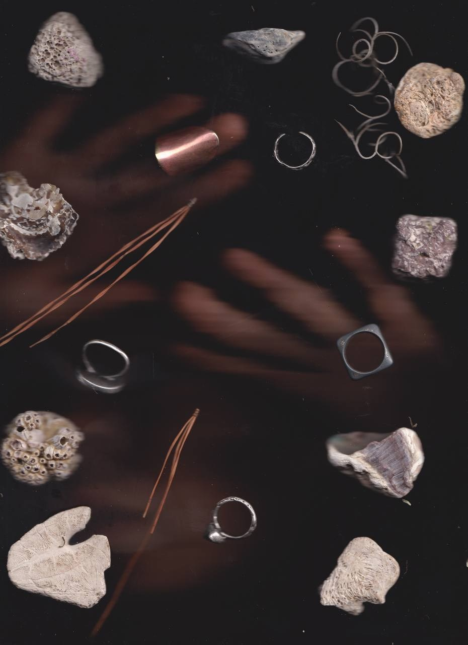 SEDIMENTS AND FOSSILS. Xexexena.ru