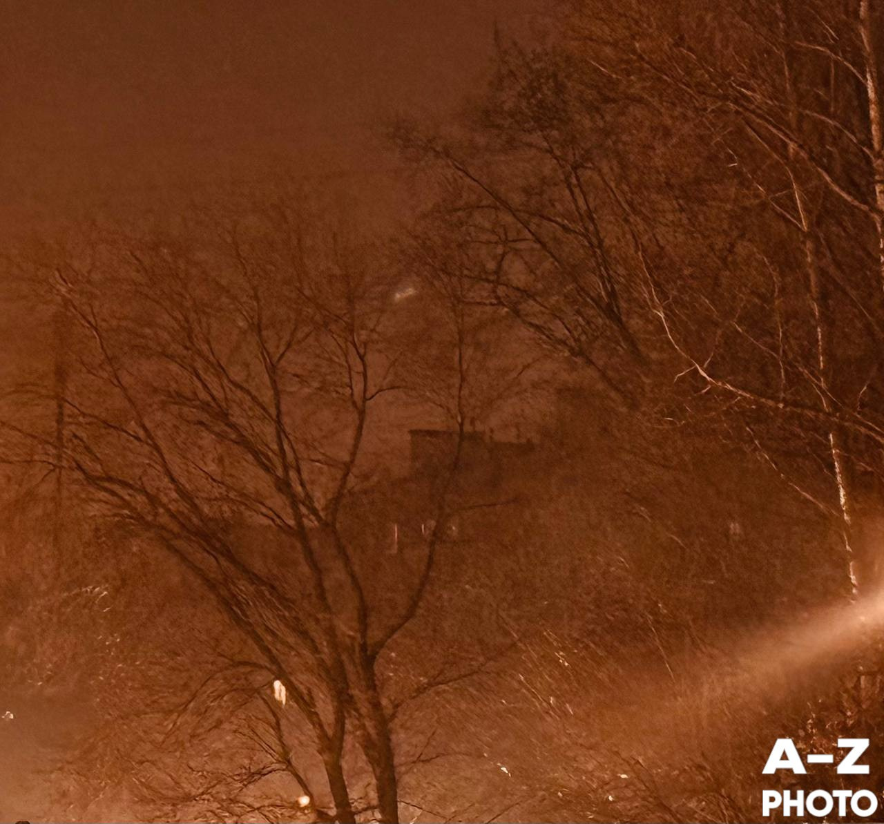 #ФОТОНЕДЕЛИ 08.12.2025. Женский семейный фотограф Тула Москва Захарова Анна