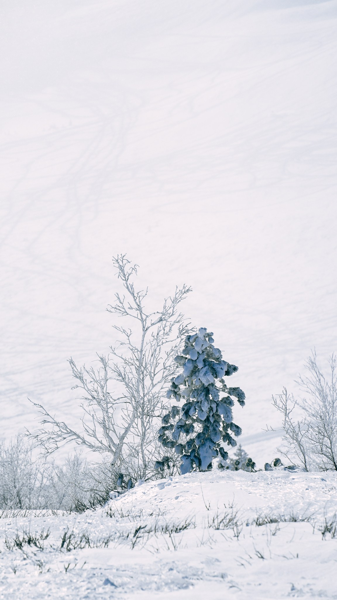 Приисковое. Человек с фотокамерой
