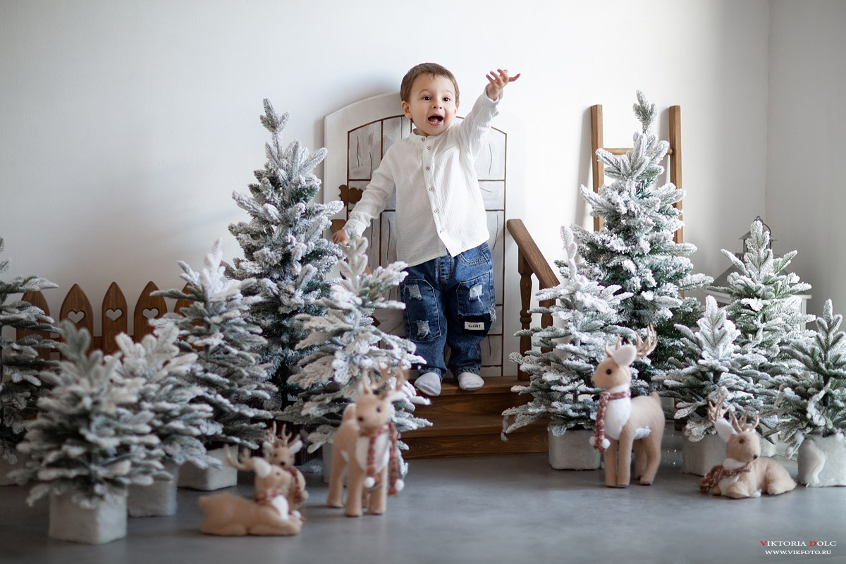 Новый год. Семейный и детский фотограф в Москве и МО Виктория Иваненко