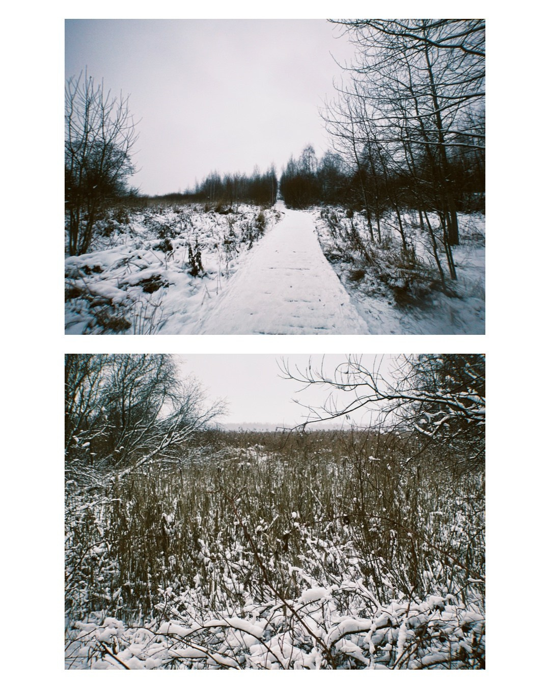 Saint-Petersburg. Alina Panover