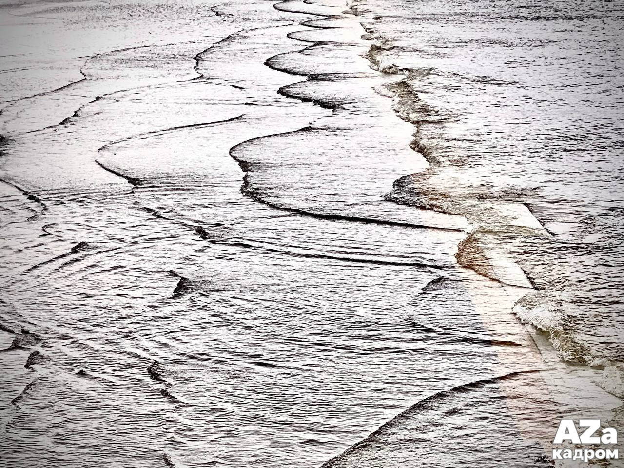 AZакадром «Фотофанты». Женский семейный фотограф Тула Москва Захарова Анна