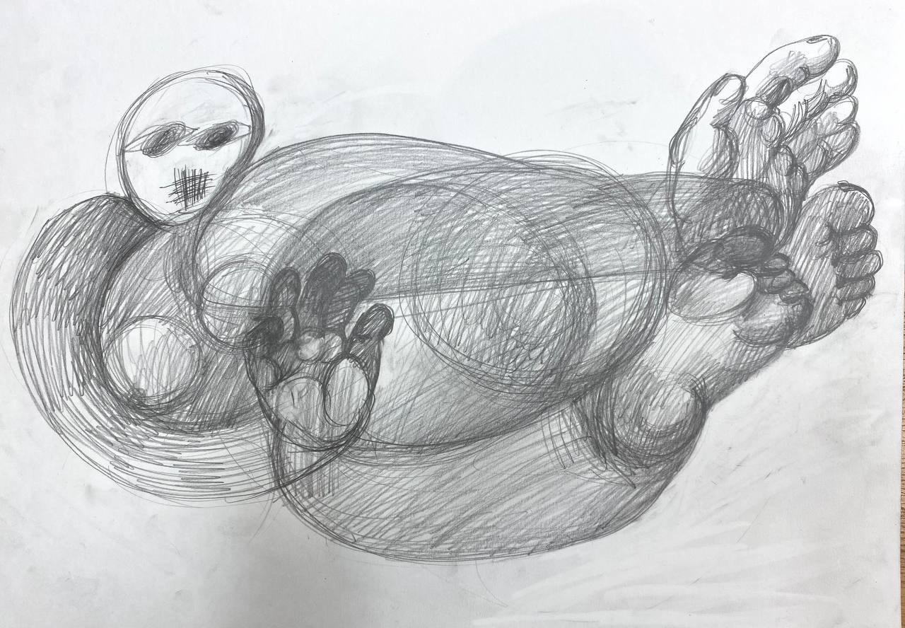 Папка с рисунками А3. Лилия Ким. Междисциплинарный художник