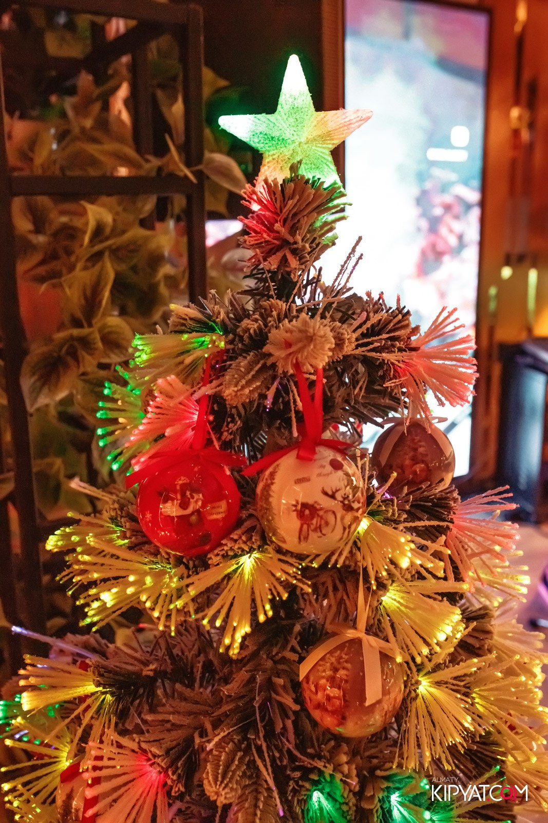 MODI RESTORANCHIK. КИПЯТКОМ АЛМАТЫ!